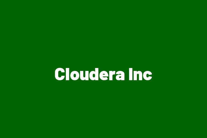 Technology Solutions Firm Cloudera Inc