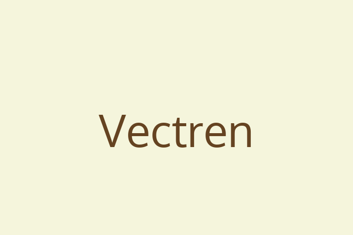 Software Solutions Provider Vectren