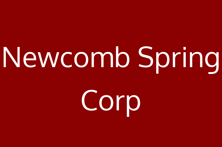 Software Development Firm Newcomb Spring Corp