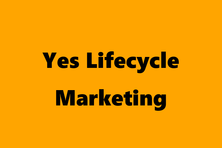 Tech Solutions Company Yes Lifecycle Marketing