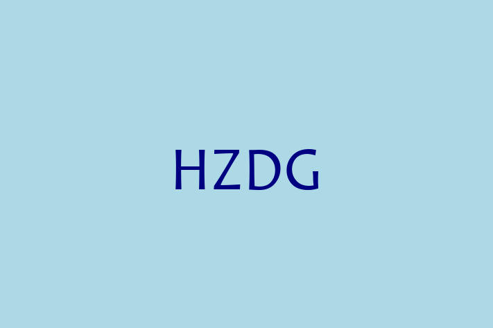 Software Services Company HZDG