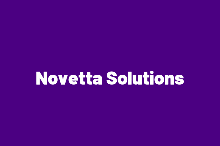 Software Consultancy Novetta Solutions