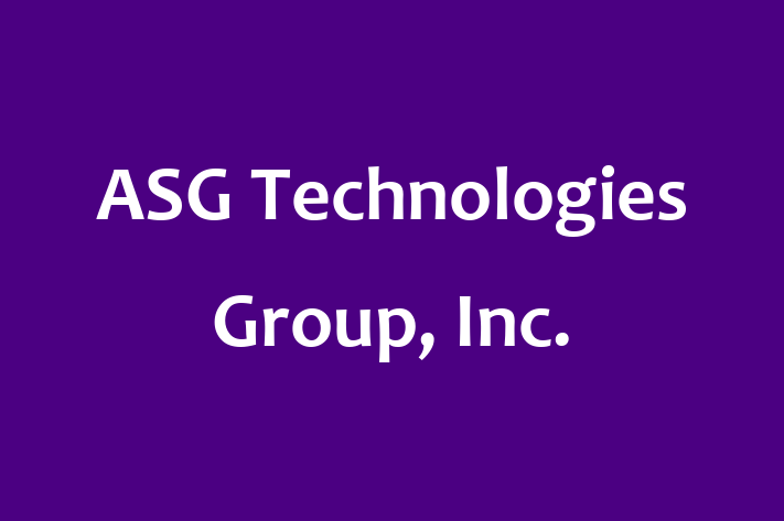 Software Engineering Company ASG Technologies Group Inc.