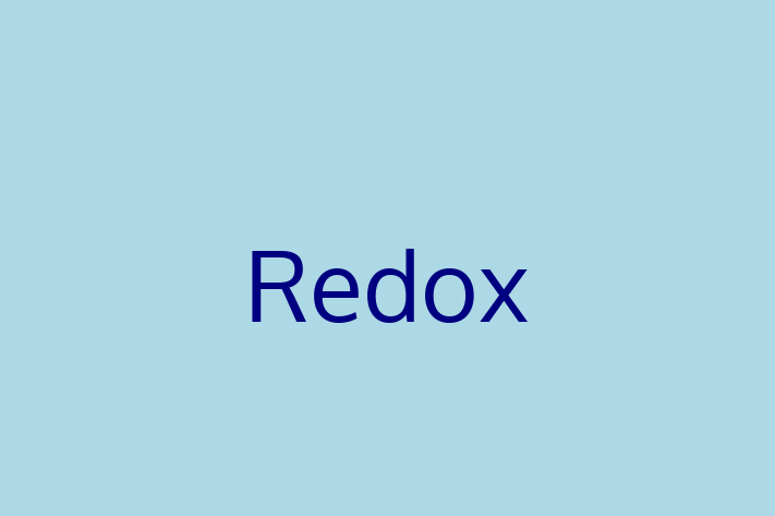 Software Consultancy Redox