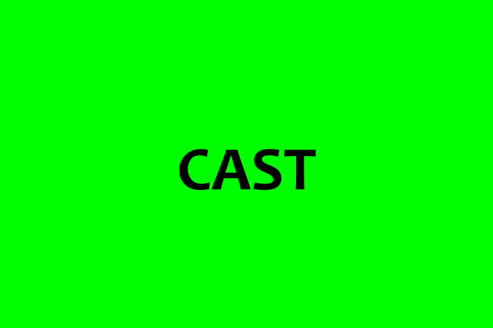 Tech Firm CAST