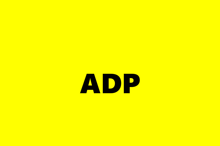 Software Consultancy ADP