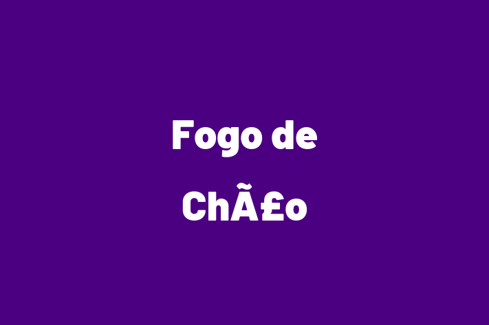 Employee Resource Management Fogo de Cho