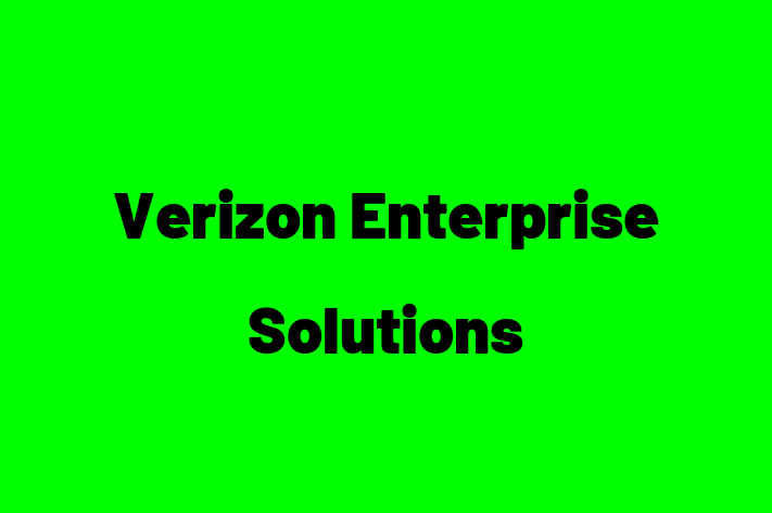 Technology Solutions Firm Verizon Enterprise Solutions