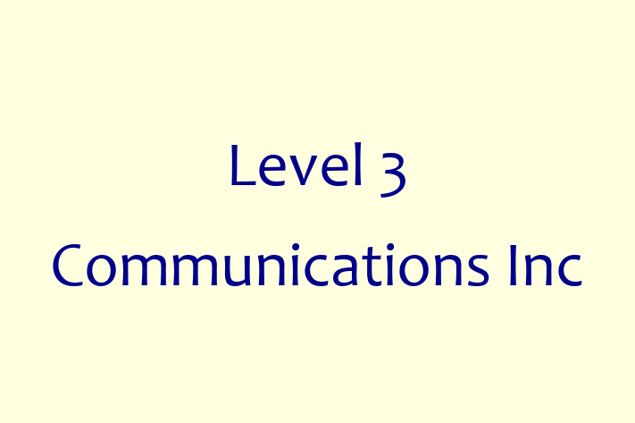 Digital Solutions Provider Level 3 Communications Inc