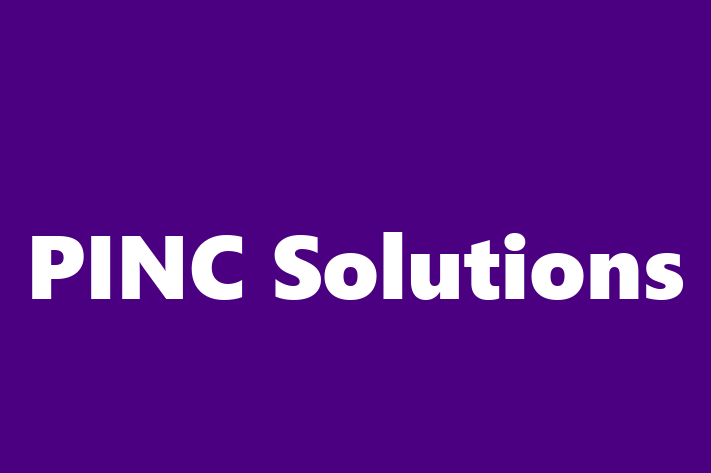 IT Company PINC Solutions