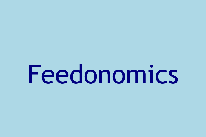 Software Consultancy Feedonomics