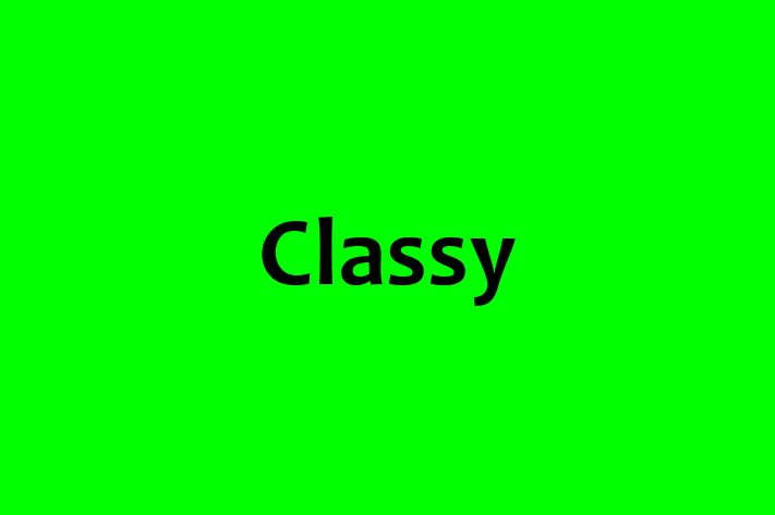 Digital Solutions Provider Classy