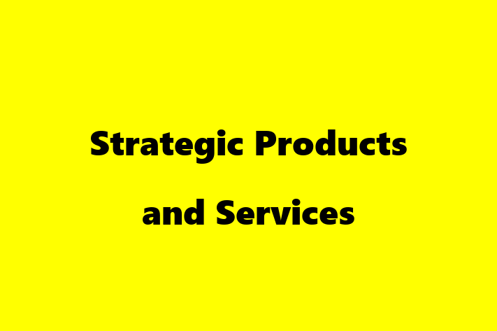 Digital Solutions Provider Strategic Products and Services