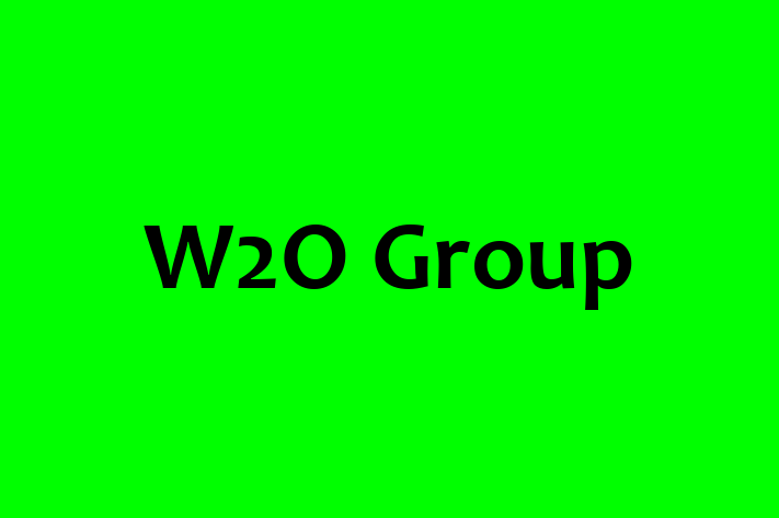 Software Development Company W2O Group