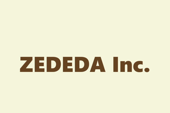 Software Engineering Company ZEDEDA Inc.