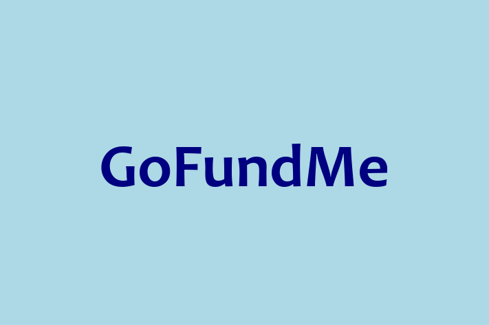 Software Engineering Company GoFundMe