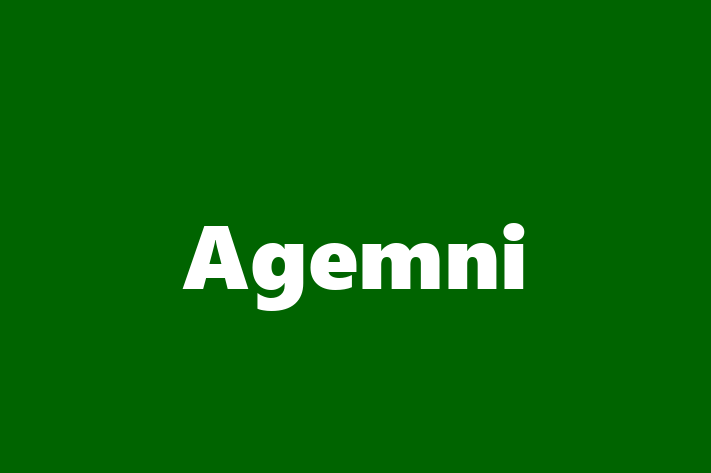 Digital Solutions Provider Agemni