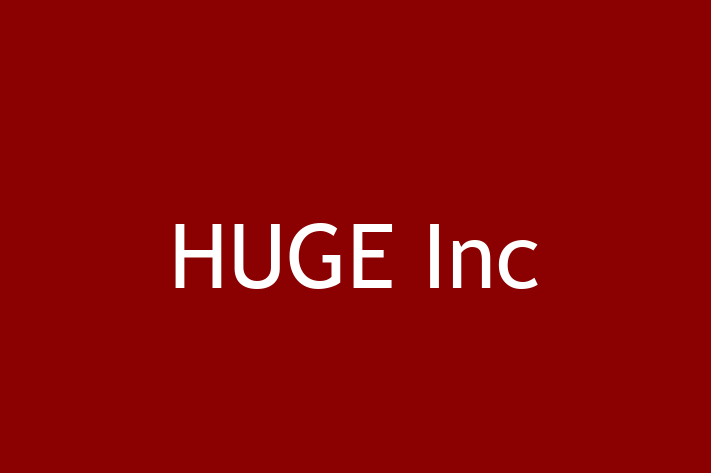 Software Development Company HUGE Inc