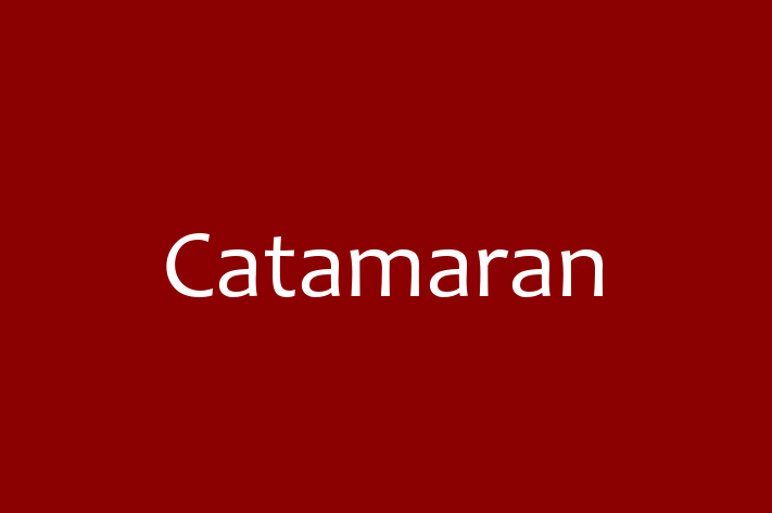 Software Services Company Catamaran