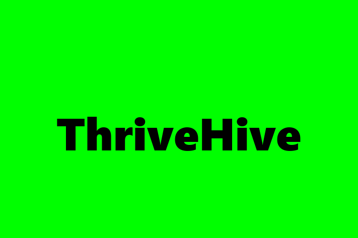 Software Development Company ThriveHive