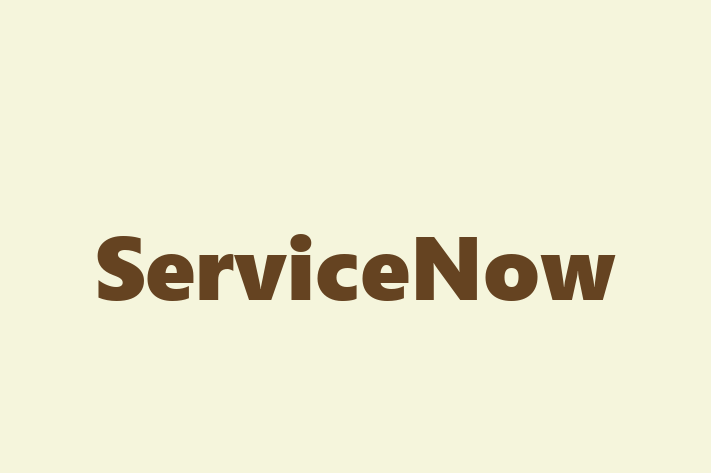 IT Company ServiceNow