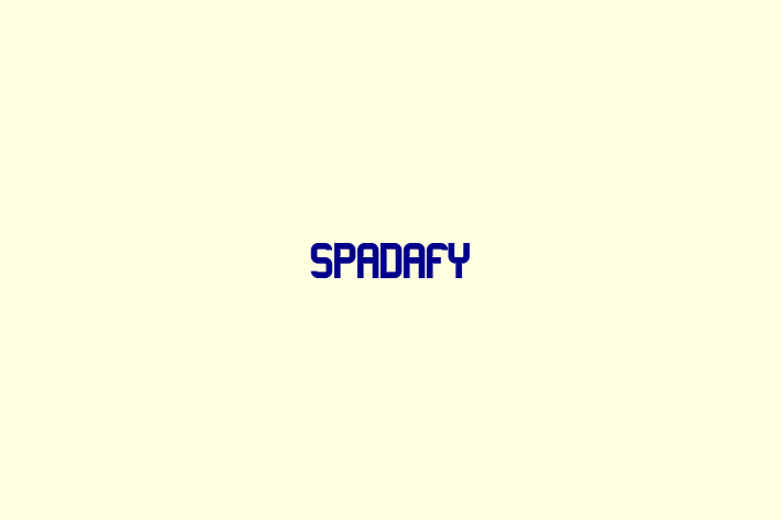 Application Development Company Spadafy