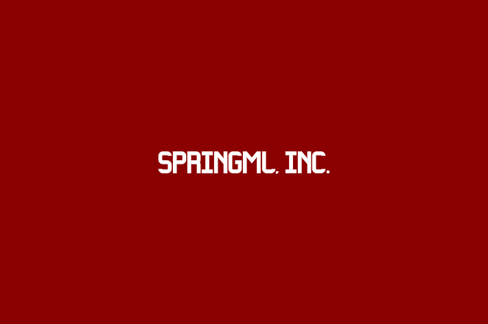 Technology Solutions Firm springML Inc.