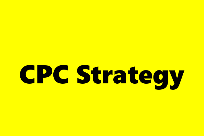 Software Services Company CPC Strategy