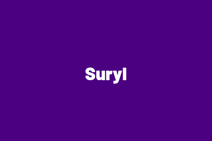 Software Development Company Suryl