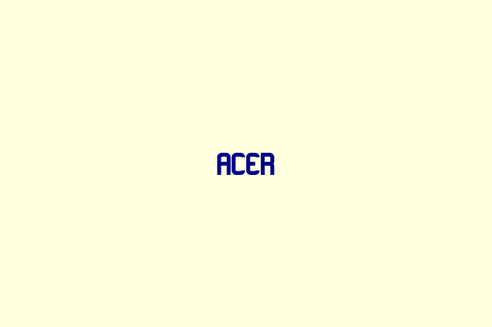 Software Solutions Provider Acer