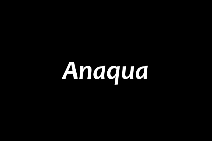 IT Company Anaqua