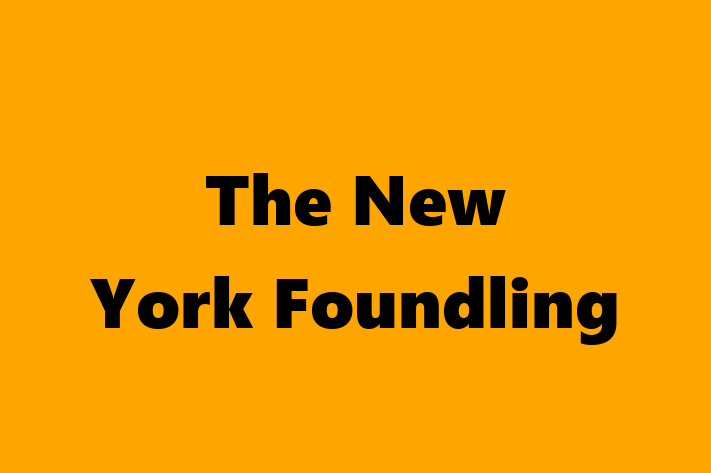 HR Administration The New York Foundling