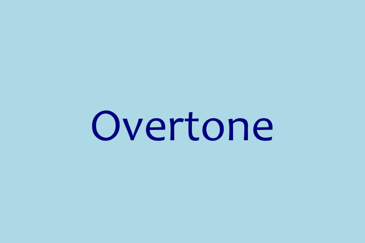 Software Development Firm Overtone