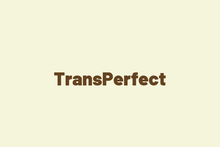 Software Consultancy TransPerfect