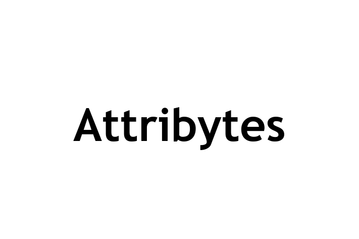 Technology Solutions Firm Attribytes