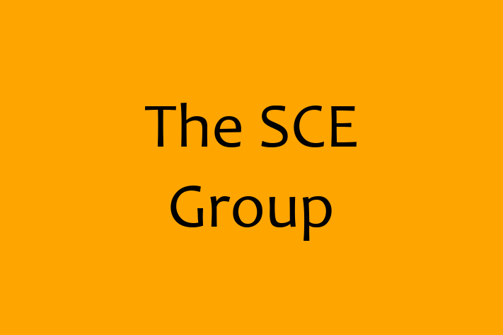 Software Services Company The SCE Group