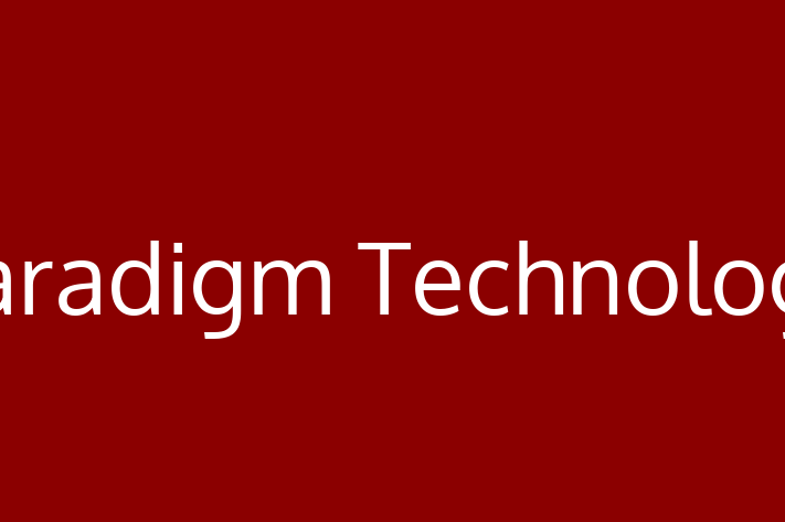 Software Consultancy Paradigm Technology