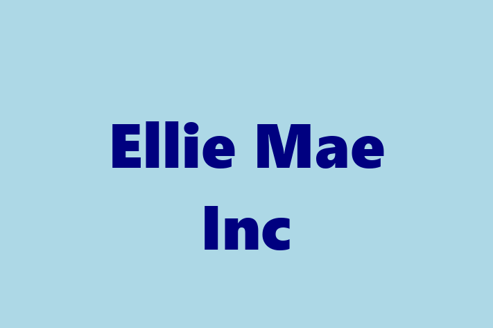 Digital Solutions Provider Ellie Mae Inc