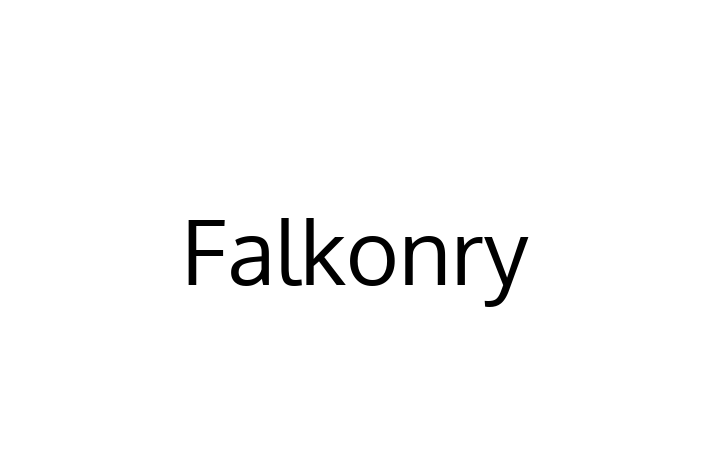 Technology Solutions Firm Falkonry