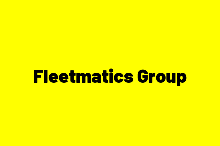 IT Company Fleetmatics Group