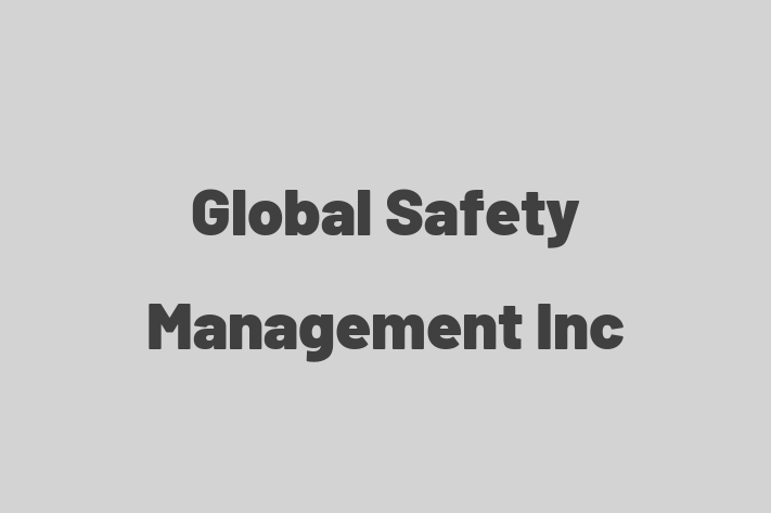 Software Services Company Global Safety Management Inc