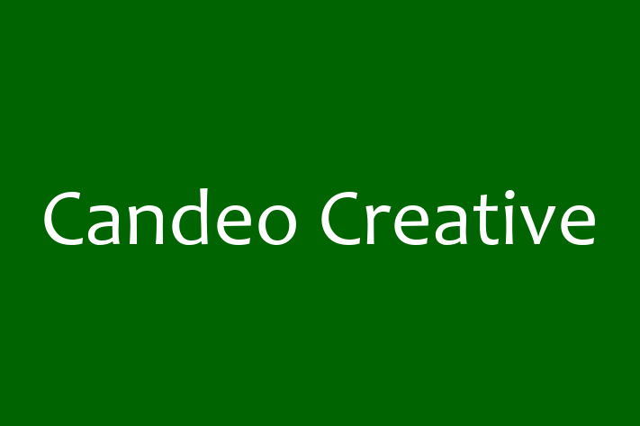 Technology Solutions Firm Candeo Creative