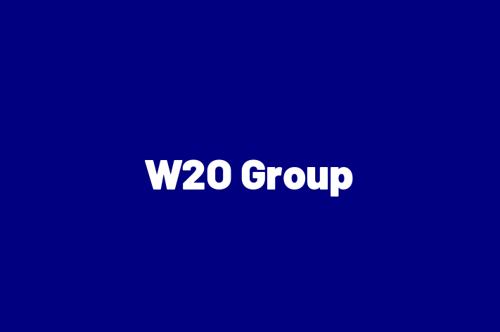 Software Development Firm W2O Group