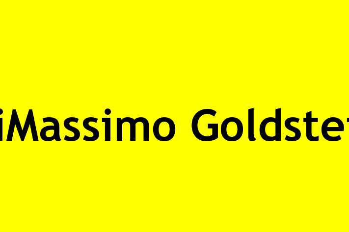 Tech Solutions Company DiMassimo Goldstein