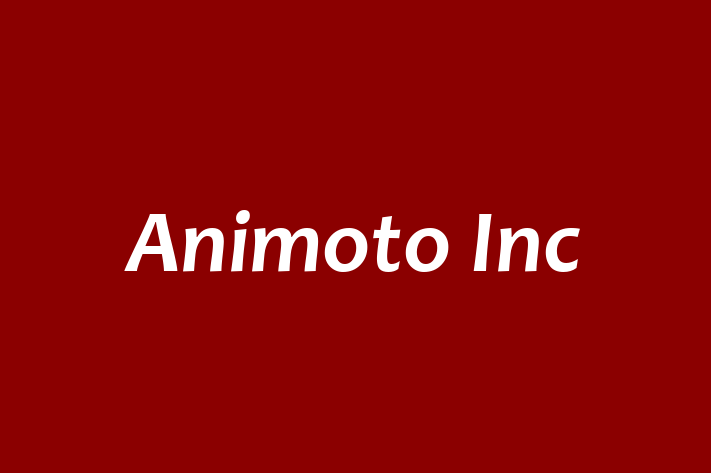 IT Company Animoto Inc