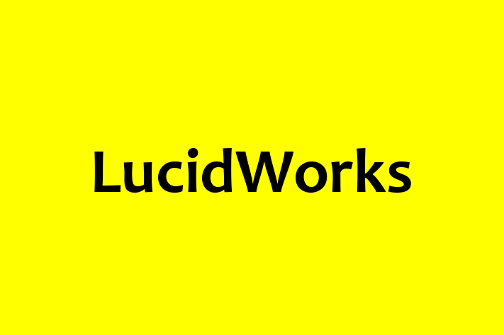 Tech Solutions Company LucidWorks