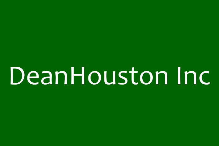 Application Development Company DeanHouston Inc