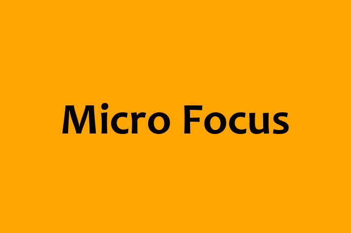 Technology Company Micro Focus