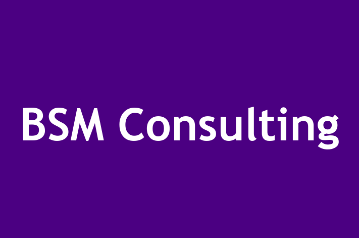 Personnel Management BSM Consulting