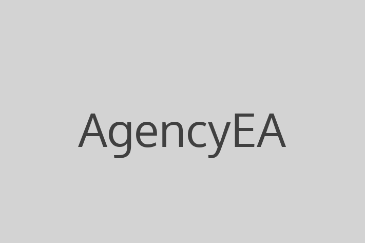 Tech Solutions Company AgencyEA